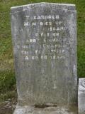 image of grave number 269481